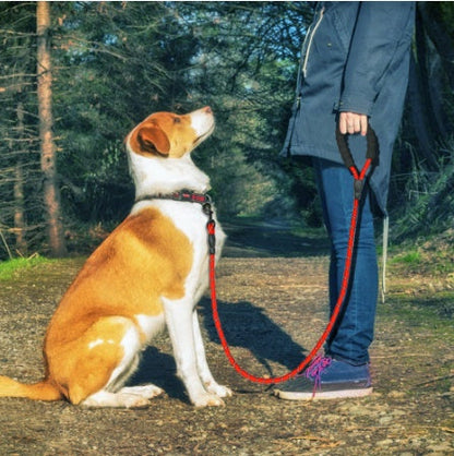 Reflective Dog Leash