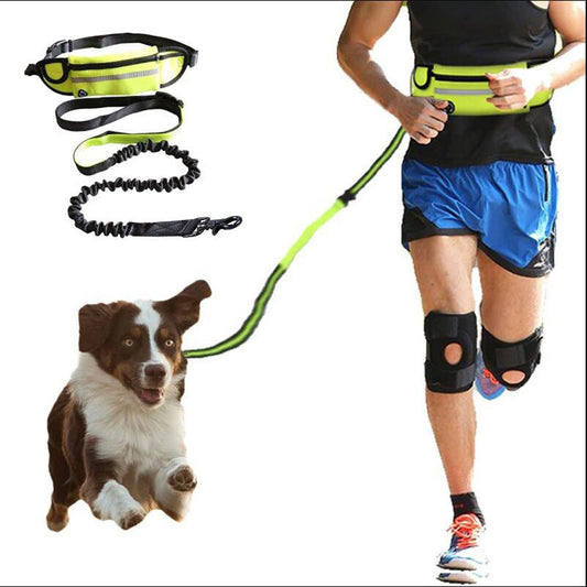 Hands Free Dog Leash