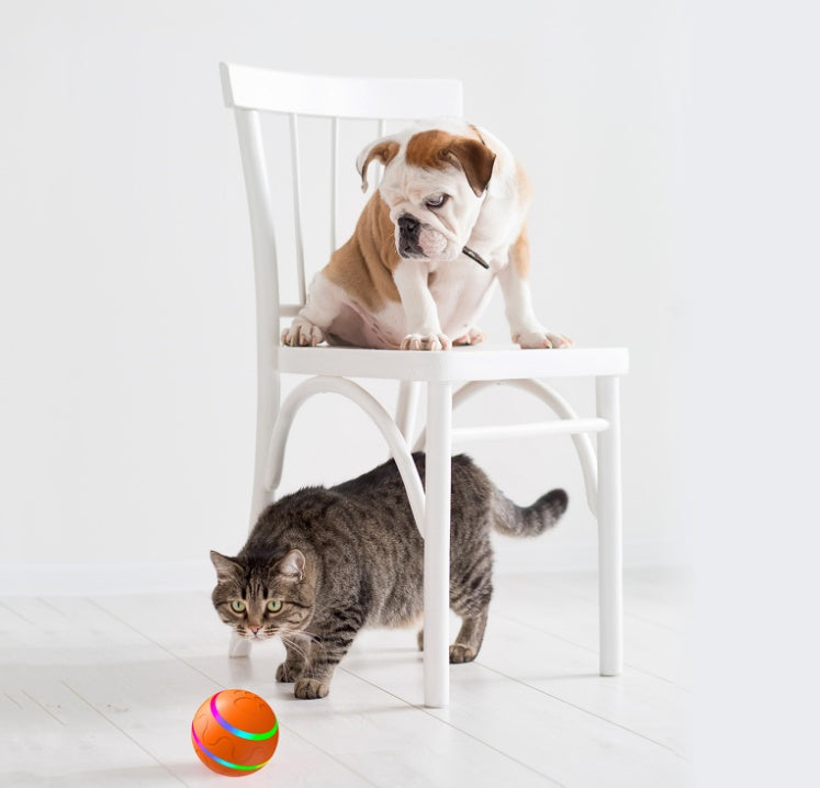 Smart Interactive Ball for Motoric Development for Pets